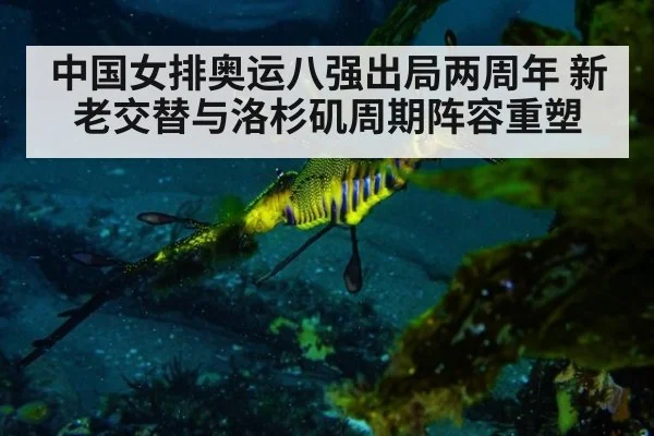 中国女排奥运八强出局两周年 新老交替与洛杉矶周期阵容重塑（ayx）